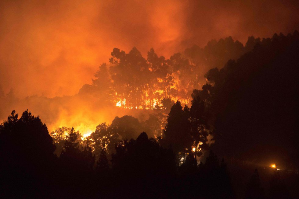На Канарах бушуют лесные пожары