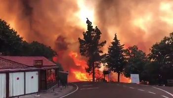 На Канарах из-за пожара эвакуировали 800 человек