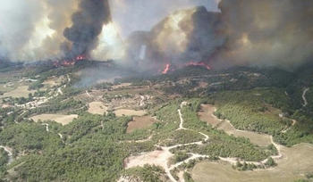 В Каталонии лесной пожар бушует на 1000 гектарах