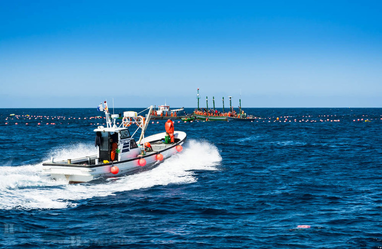Ловля тунца в Гибралтарском проливе