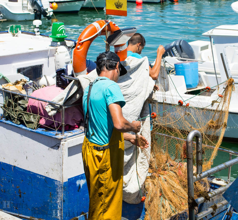 Ловля тунца в Гибралтарском проливе