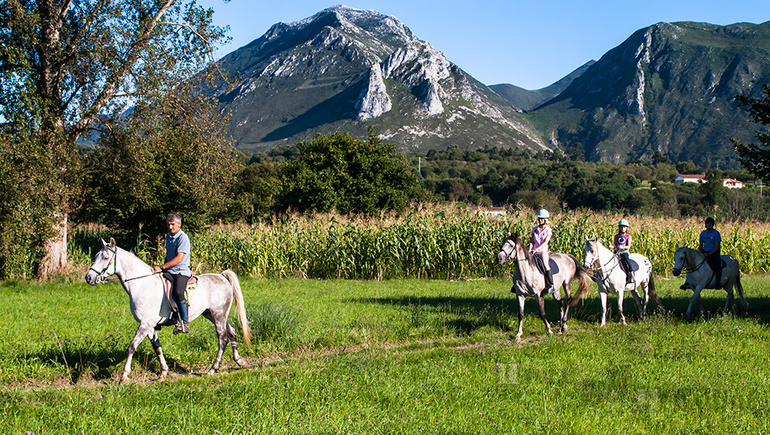 Прогулка на лошадях в Испании