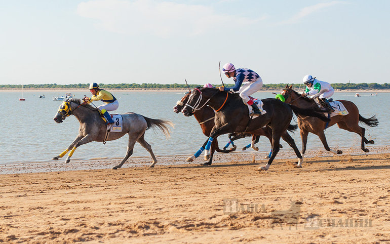 Как проходят скачки на лошадях по пляжу в Санлукаре